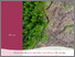 [thumbnail of systematic-review-forest-conservation-2]