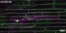 [thumbnail of Movie 5.1 LTI6b TMD GFP_Mep1 mCherry_EIHM integrity indicator_from 25 hpi to 32 hpi.avi]