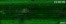 [thumbnail of Movie 6.6 Time-lapse_24 to 36 hpi_infected_actin bundling.avi]