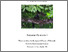 [thumbnail of 2010PalminteriSPhD.pdf]