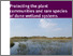 [thumbnail of Davy et al 2010 (wet dunes phase 2)]