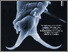 [thumbnail of Biologist_article.pdf]