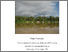 [thumbnail of 2011NewtonPPhD.pdf]