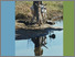 [thumbnail of APRLPwra_fullA4.pdf]
