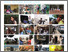 [thumbnail of CBA-Reviewing-SO.pdf]