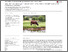 [thumbnail of lake_et_al_2014_flooding_beef]
