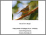 [thumbnail of DWRIGHT_2014_PHD_THESIS.pdf]
