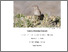 [thumbnail of 2014Gonzalez-QuevedoCPhD.pdf]