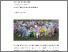 [thumbnail of Thesis_-_Bianca_Finger-Berry.pdf]