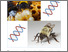 [thumbnail of Sadd_etal_2015_GenomeBiology]