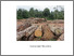 [thumbnail of VARichardsonPhD.2.pdf]