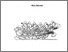 [thumbnail of alexvalente6193234phdFINAL.pdf]