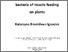 [thumbnail of IgnasiakK_Thesis_final.pdf]