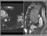 [thumbnail of Figure 5]