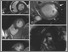 [thumbnail of Figure 2]