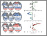 [thumbnail of Figure 4]
