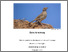 [thumbnail of 2018ArmstrongCPhD.pdf]