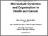 [thumbnail of Full_Thesis_Final.pdf]