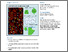 [thumbnail of Published_Manuscript]