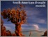 [thumbnail of 2020_Morales et al (SADA) cover]