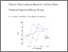 [thumbnail of POM_PPY_Macromolecules_SI_Revised]