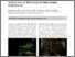 [thumbnail of Published_Version]