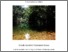 [thumbnail of thesis final Ursula Flossmann-Kraus.pdf]