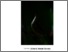 [thumbnail of 2021DaviesCPhD.pdf]