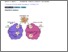 [thumbnail of Accepted_Manuscript]