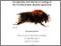 [thumbnail of 2022BrockRPhD.pdf]