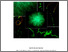 [thumbnail of 2022CassettariGPhD.pdf]