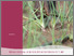 [thumbnail of 221212-egm-behavioural-change-top_1]