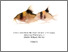[thumbnail of CB 230129 PhD Final Thesis.pdf]