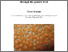 [thumbnail of MG 230423 Final PhD Thesis.pdf]