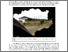 [thumbnail of Mills - The Russians are Coming - PURE Deposit - Pre-Publication - Dec 23]