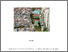 [thumbnail of Something Rotten June 2023.pdf]