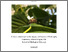 [thumbnail of IR 240118 Final PhD Thesis.pdf]