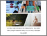 [thumbnail of Public engagement with sustainable wastewater management and hydrogen technologies final report]