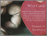 [thumbnail of Who Cares Research Summary 2024]
