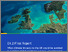 [thumbnail of avoided-climate-impacts-to-the-uk-at-1-5-degrees-report]