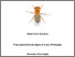 [thumbnail of MS final PhD thesis.pdf]
